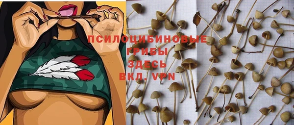 экстази Приозерск