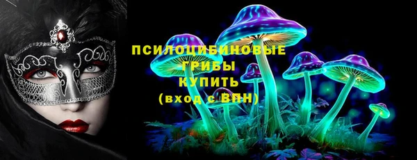 МДПВ Бронницы